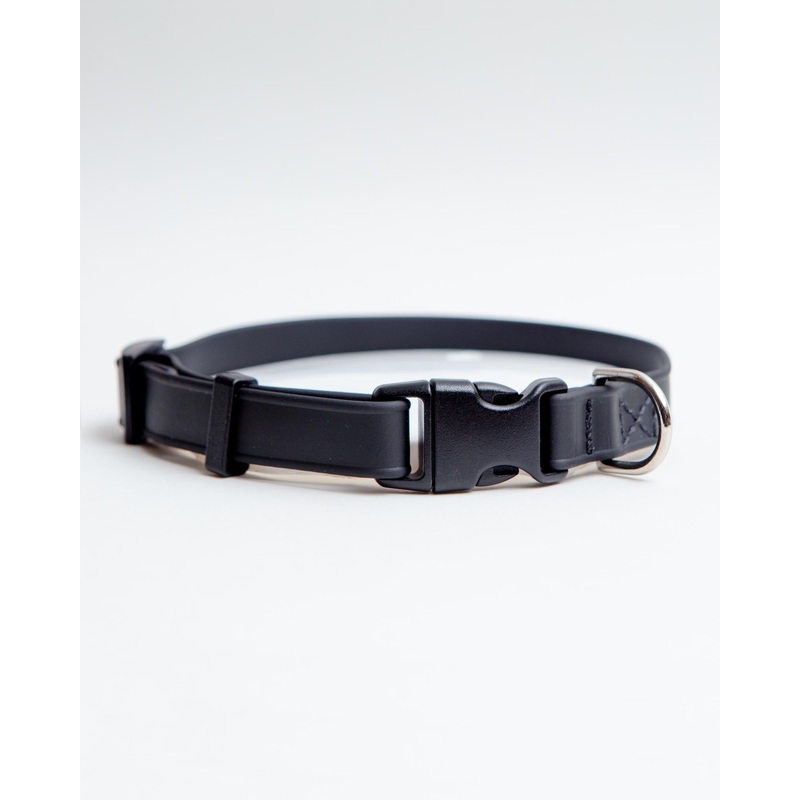 A Walk in the Park Dog Collar in Black (Made in the USA)