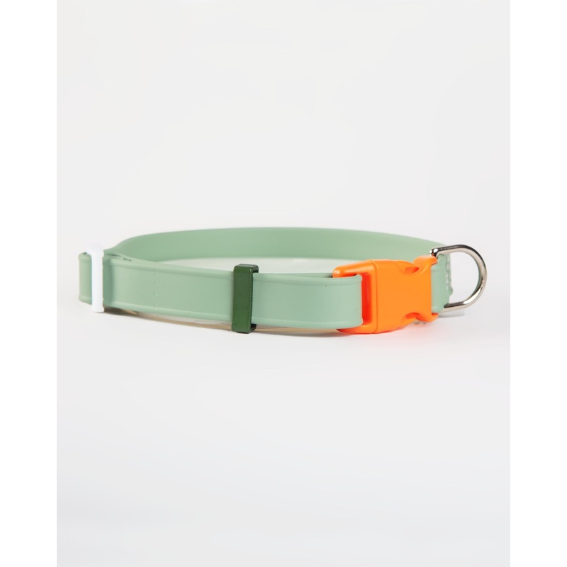 A Walk in the Park Dog Collar in Sage Green (Made in the USA)