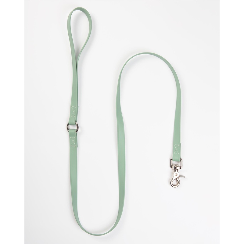 A Walk in the Park Dog Leash in Sage Green (Made in the USA)