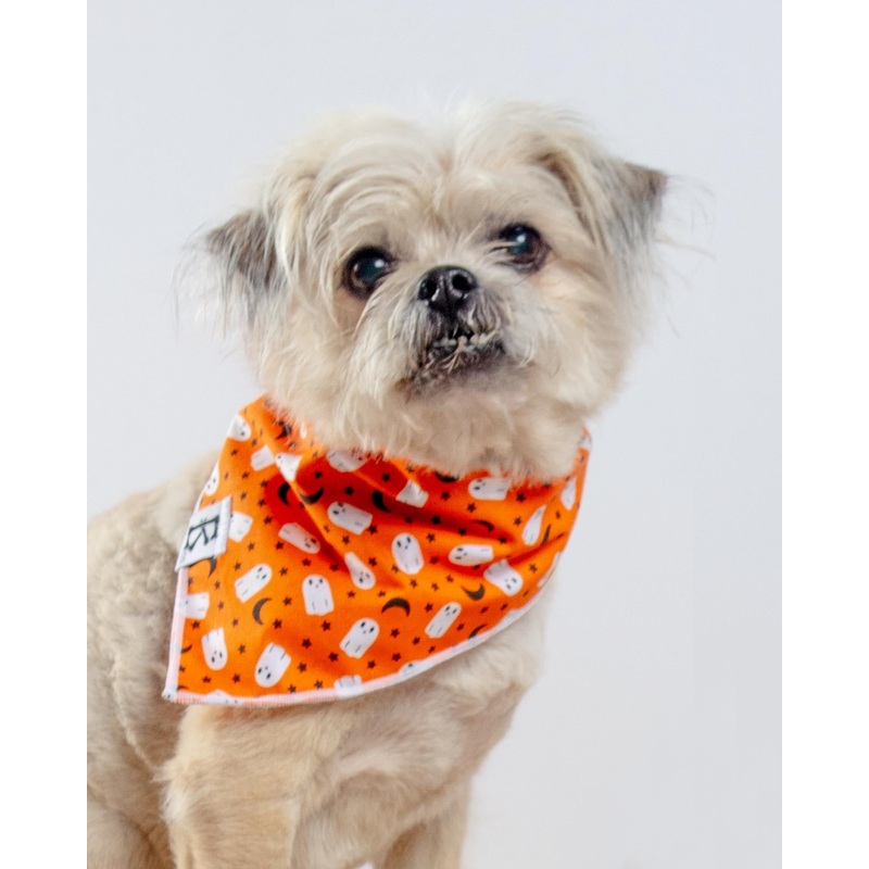 Boo-Tiful Nights Orange Ghosts Halloween Dog Bandana (Made in the USA)