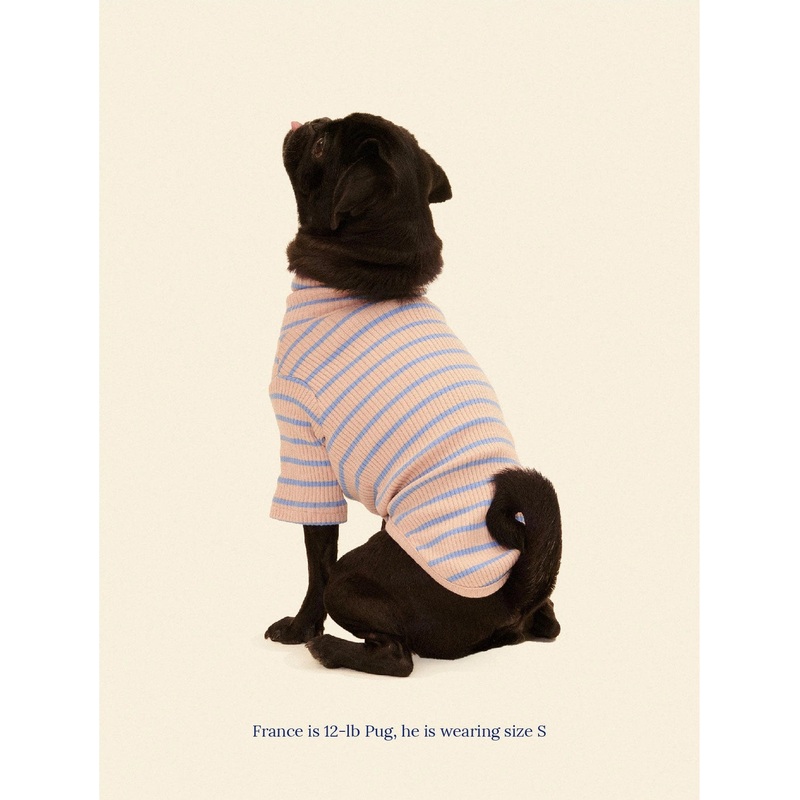 Catch Me Outside Dog Shirt (FINAL SALE)