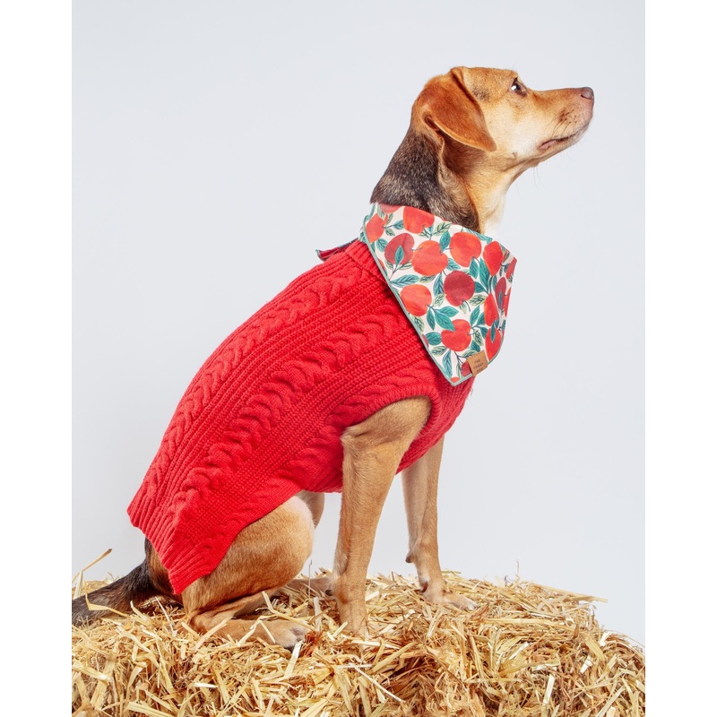 Classic Cable Dog Turtleneck Sweater in Red (FINAL SALE)