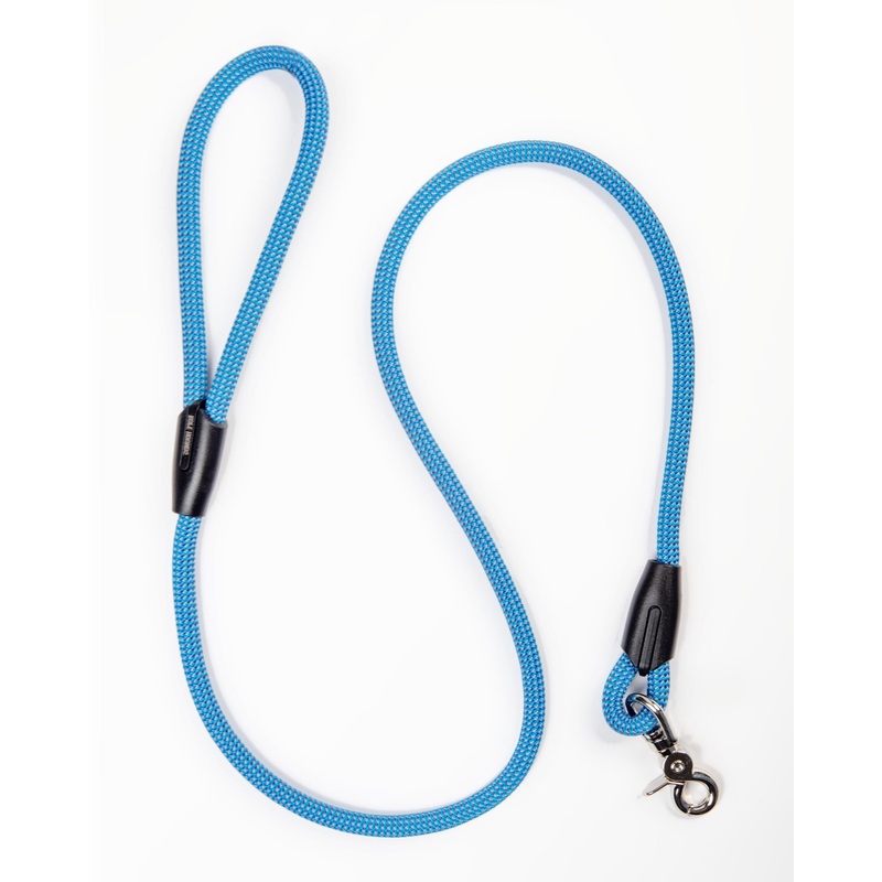 Classic Dog Leash in Blue (Made in the USA)
