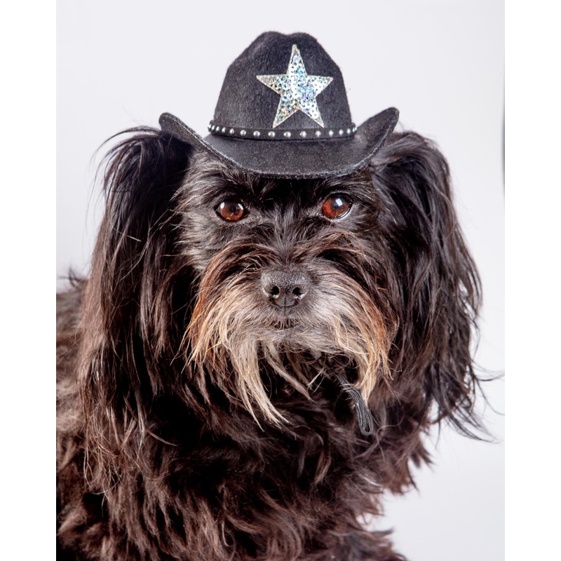 Cowboy Hat for Dogs in Black or Pink