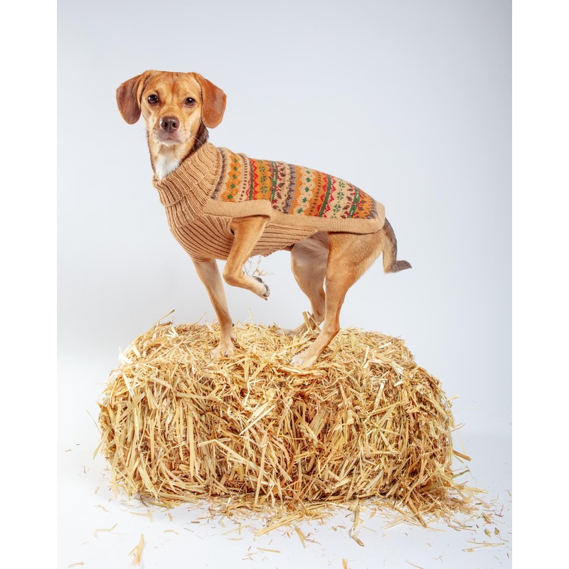 Fair Isle Finn Alpaca Dog Sweater (FINAL SALE)