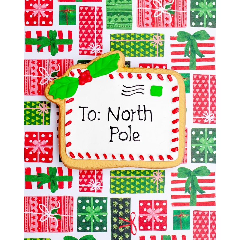 Letter to Santa Latex Squeaky Dog Toy (FINAL SALE)
