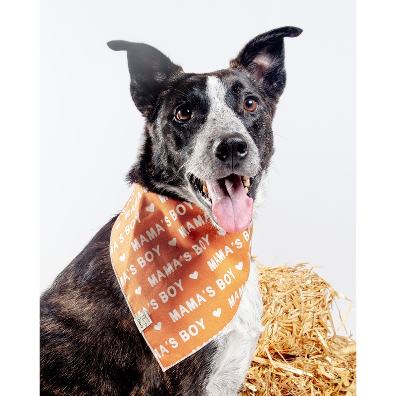 Mama’s Boy Bandana (Made in the USA)