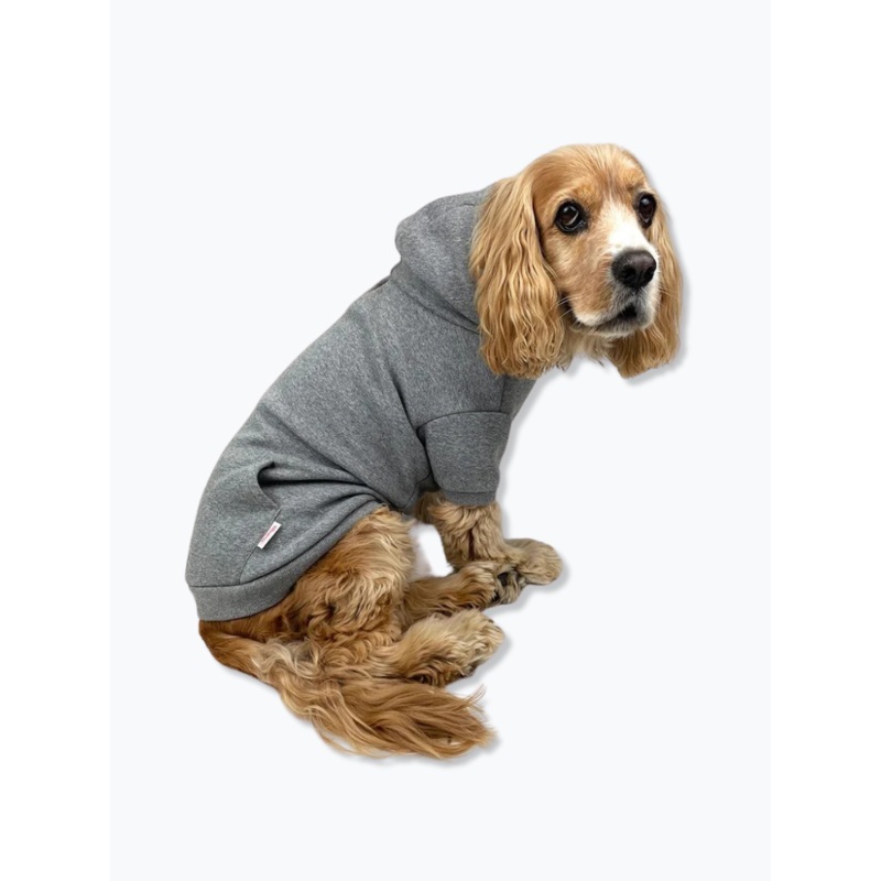 Pullover Dog Hoodie in Grey (FINAL SALE)