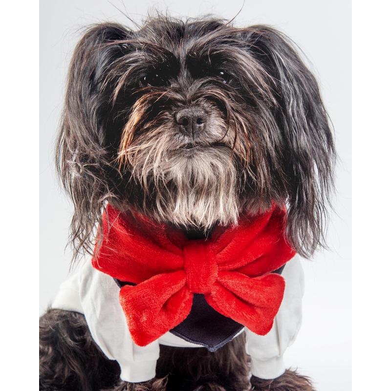 Red Velour Bow Dog Bandana|Small|Medium|Large