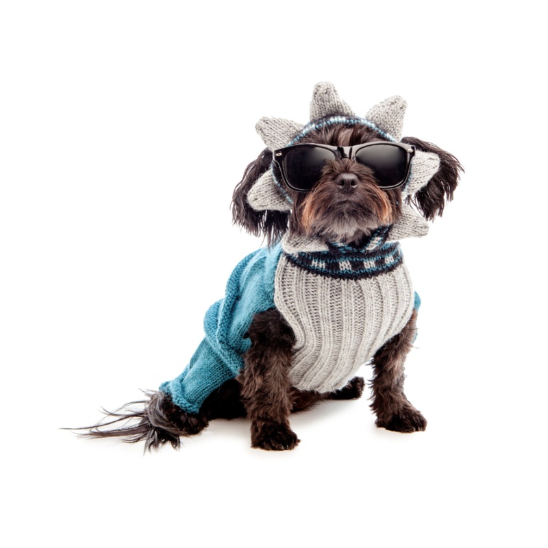 Statue of Liberty Sweater (Dog & Co. Exclusive) (FINAL SALE)