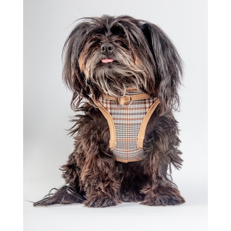 Tan Tartan Plaid Step-in Dog Harness
