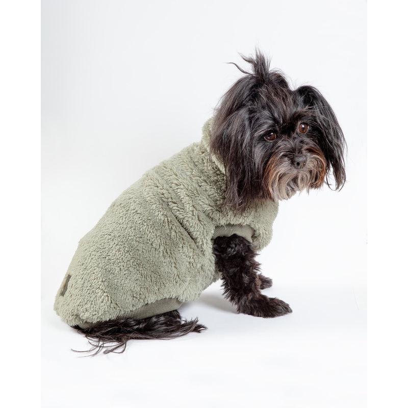 Turtle Teddy Dog Fleece in Rosemary (FINAL SALE)