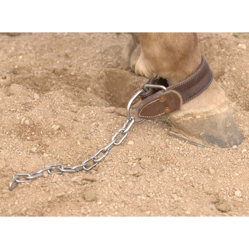 Al Dunning Kick Chain