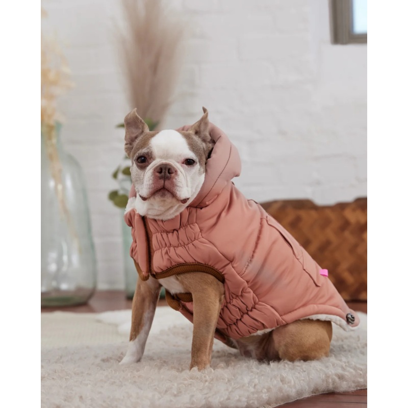 Arctic Dog Parka in Clay|2X-Small|X-Small|Small|Medium|Large|X-Large|2X-Large|3X-Large|4X-Large