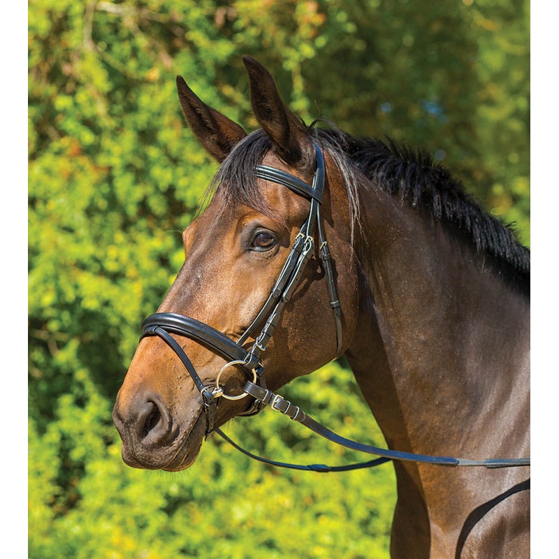 Avignon Aspen Dressage Bridle|Black|Pony|Cob|Full|Oversize