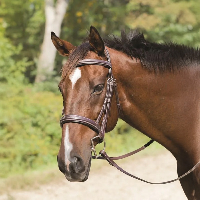 Avignon Wellington Bridle|Havana|Pony|Cob