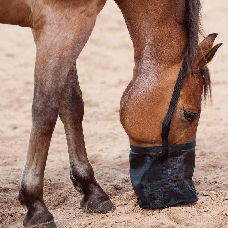 Feed Rite Horse Feed Bag|Pony|Horse|Draft