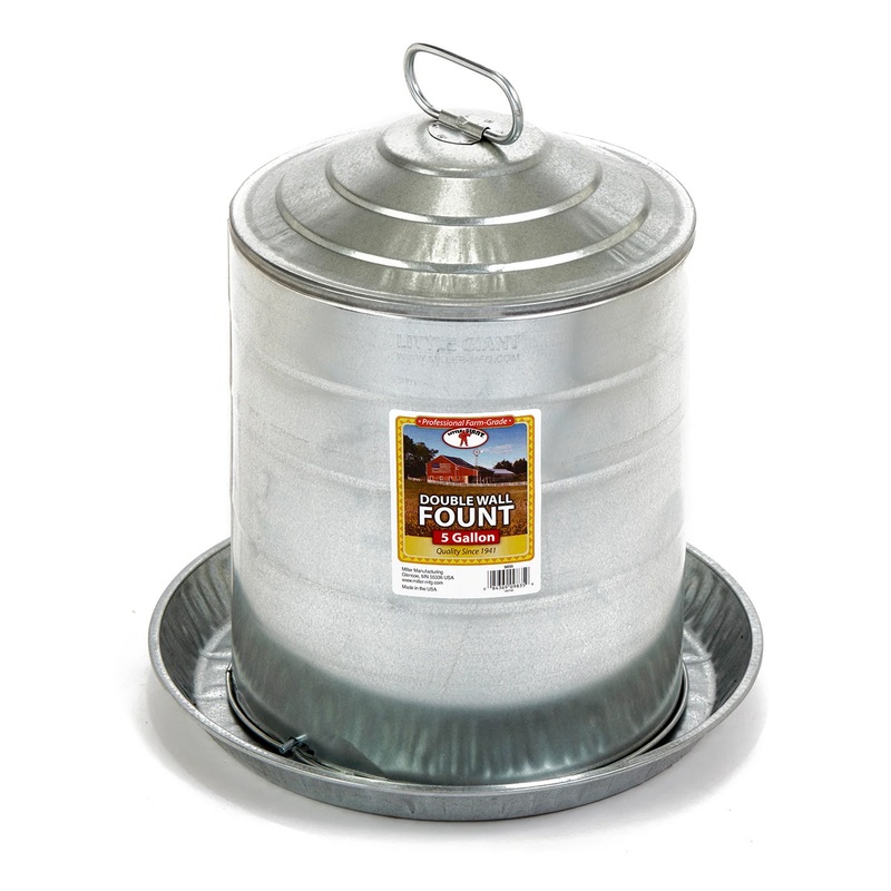 Little Giant Double Wall Fountain Poultry & Chicken Waterer