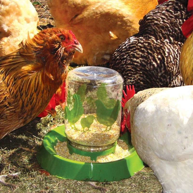 Lixit Chicken Waterer/Feeder|1/2 gallon|1 Gallon