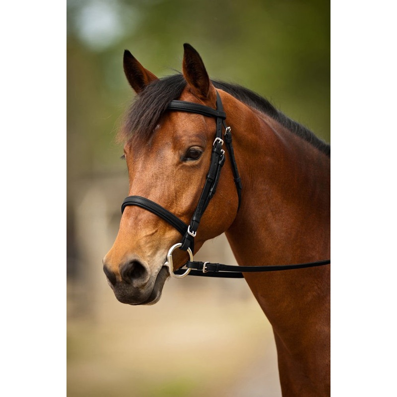 Nunn Finer Event Bridle|Havana/Zinc|Oversized