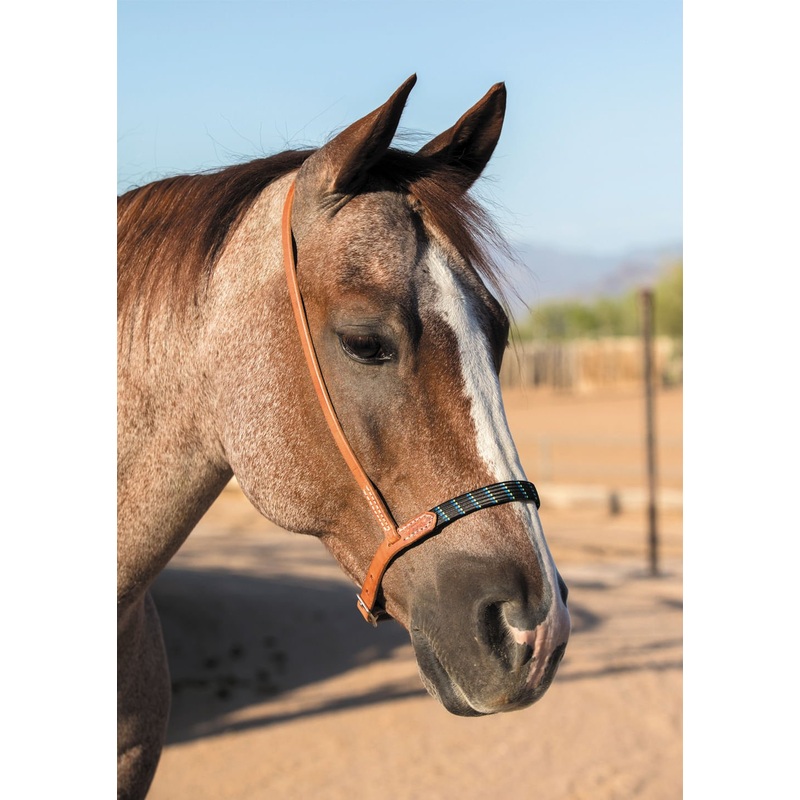 Professional’s Choice Al Dunning Harness Leather Ultimate Cavesson