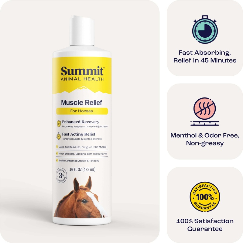Summit Animal Health – Muscle Relief for Horses, 16 oz