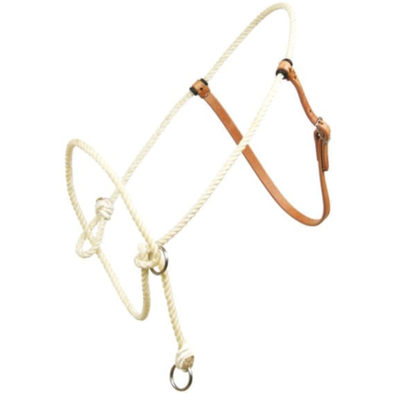 Training Halter