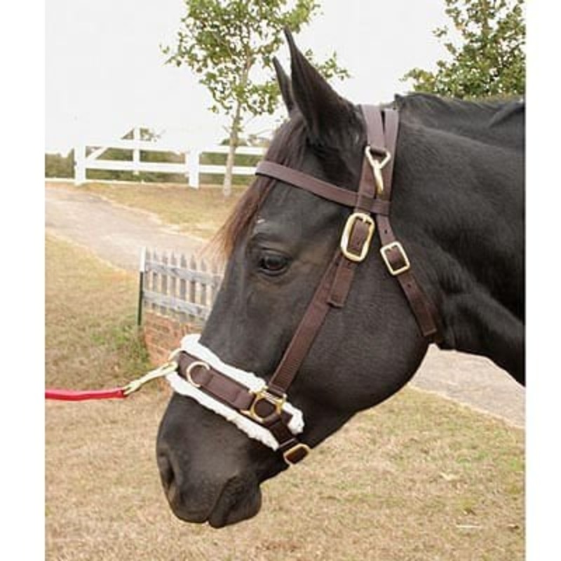 Lunging Cavesson with Fleece-Lined Nose for Horses, 800-1200 lbs
