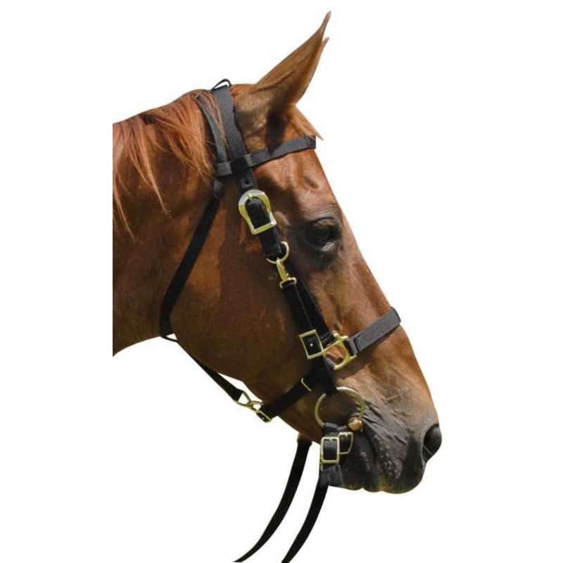 Nylon Combination Horse Halter Bridle with Reins