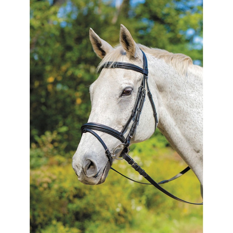 Shires Avignon Louisville Bridle