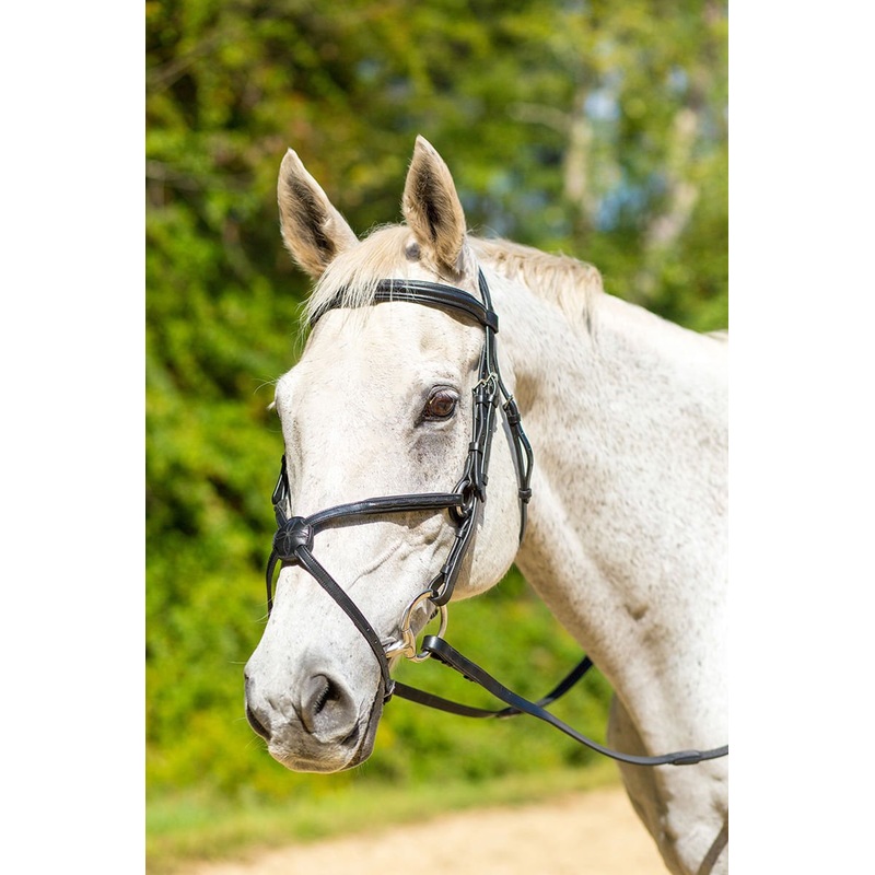 Shires Avignon Woodside Bridle