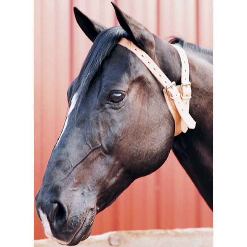 The Original Miracle Cribbing Collar, Average