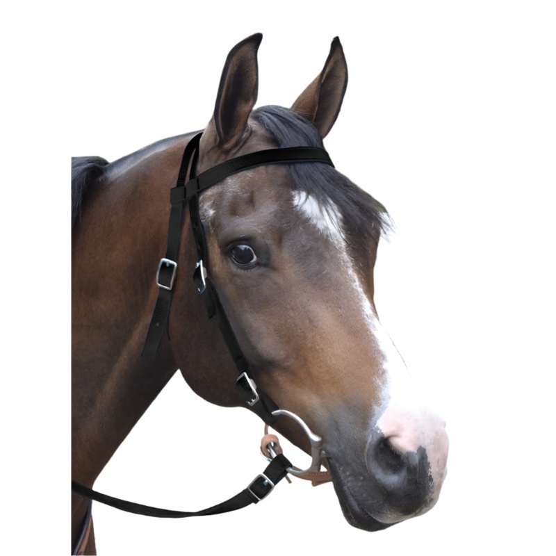 Western Nylon Horse Bridle with 6′ Split Reins Set