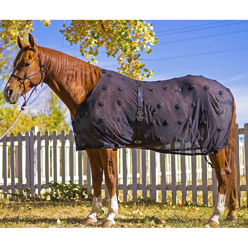BeneFab Rejuvenate Magnetic Horse Therapy SmartScrim, Black