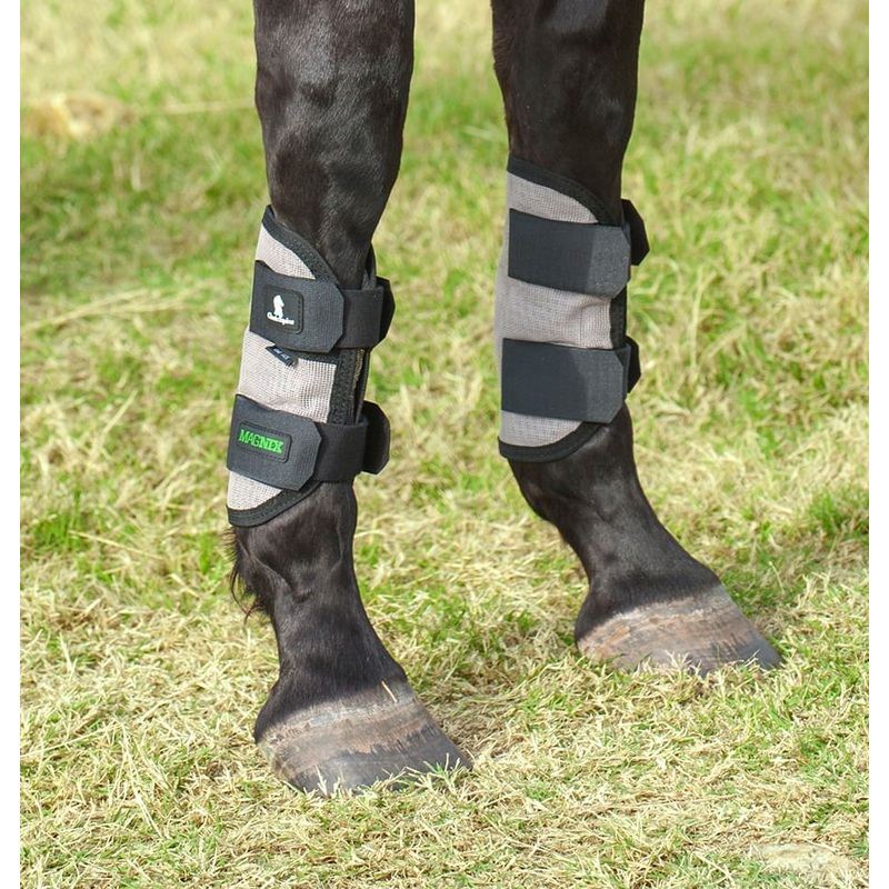 Classic Equine MagNTX Magnetic Horse Therapy Tendon Wraps, Pair