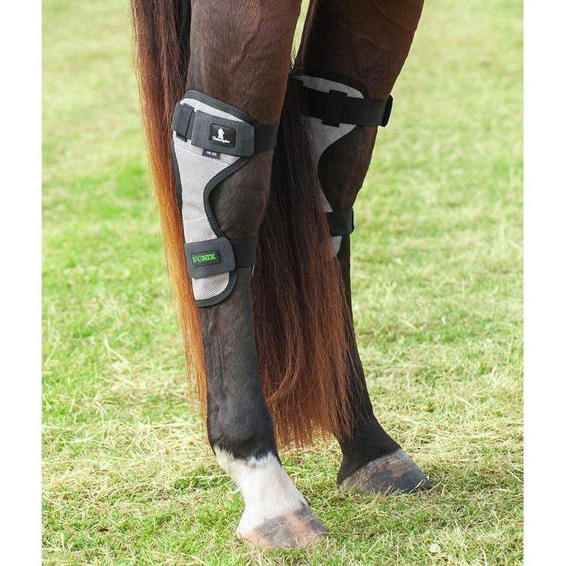 Classic Equine MagNTX Magnetic Therapy Hock Wraps, Pair