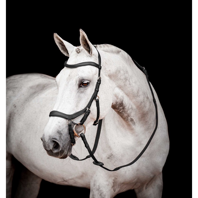 Micklem 2.0 Competition Bridle, Black