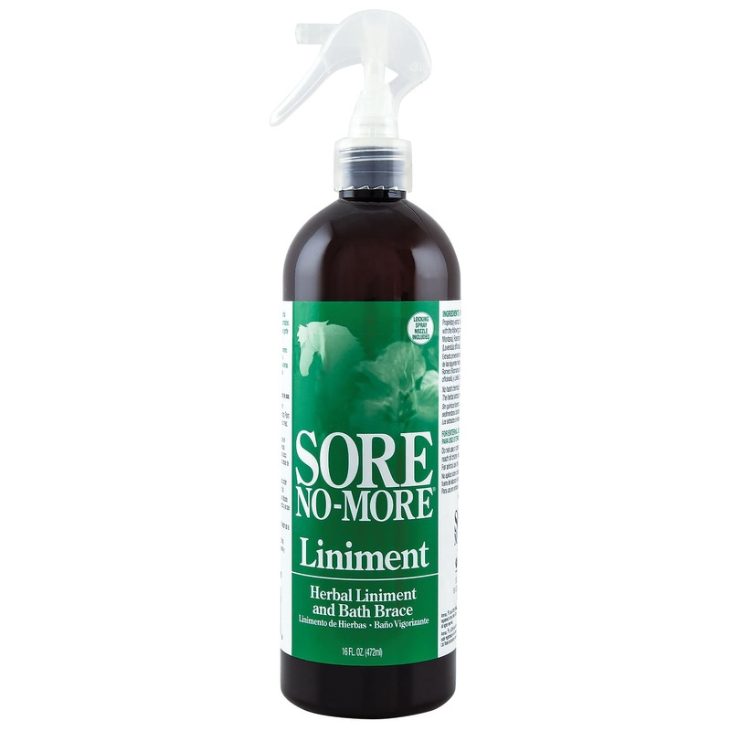 Sore No More Liniment Spray, 16 oz