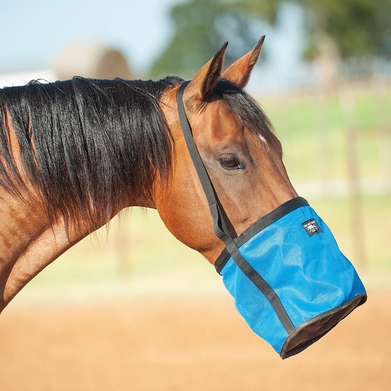 Cashel Feed Rite Bag|Blue|Pink|Orange