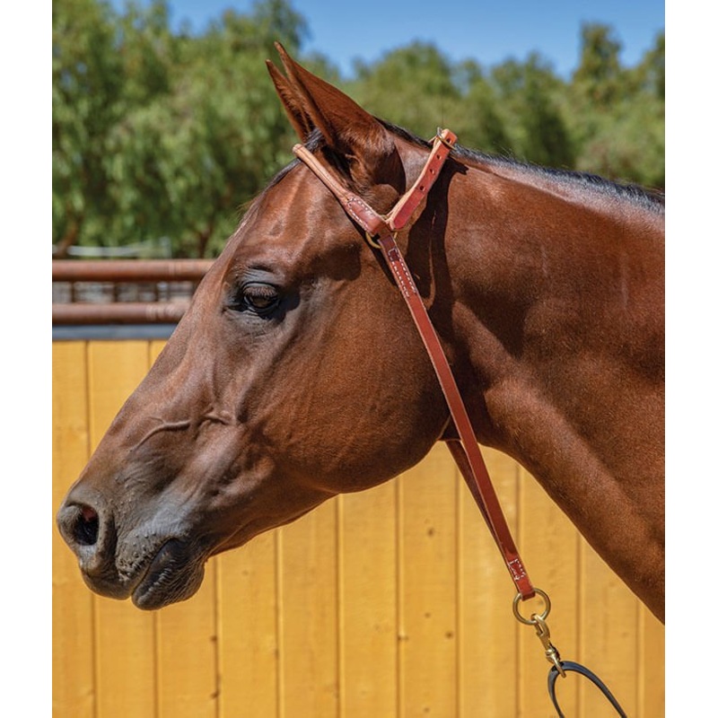 Professional’s Choice Harness Leather War Bonnet