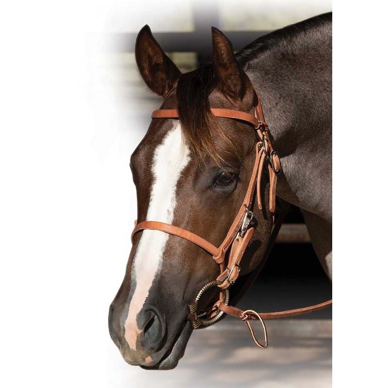 Professional’s Choice Trail Bridle