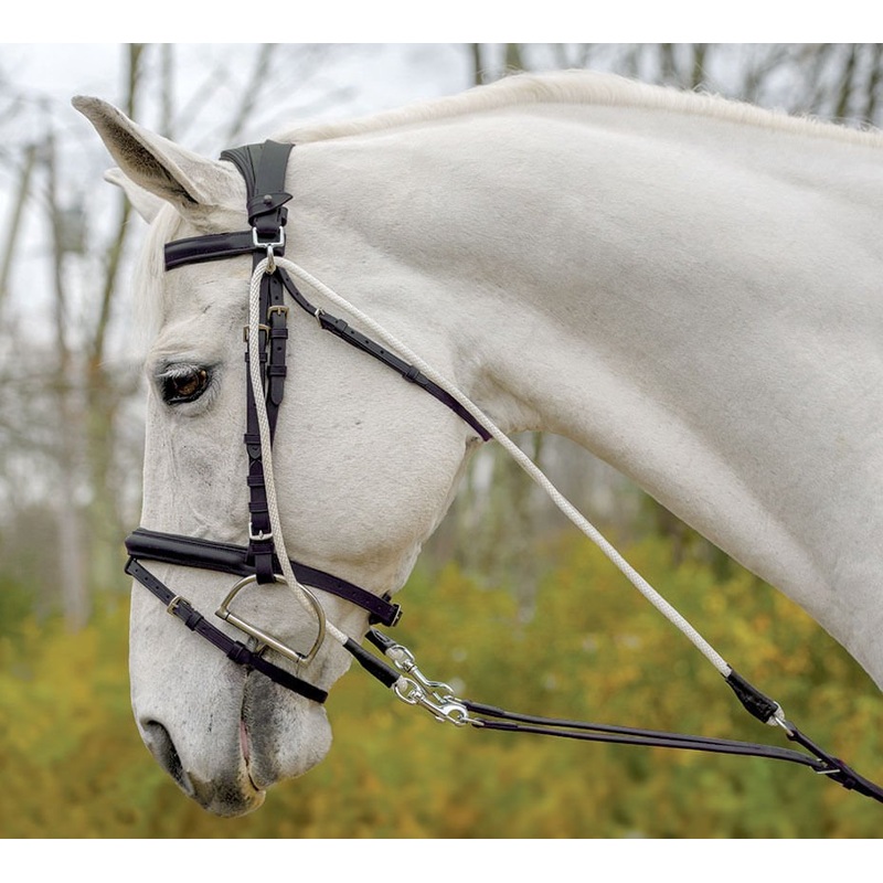 Avignon De Gogue Training Aid|Black|Havana