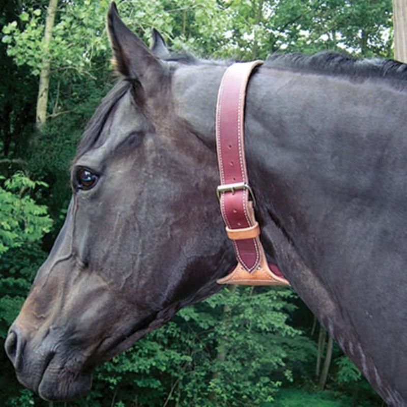 Dare Leather Cribbing Control Collar with Fleece for Horses