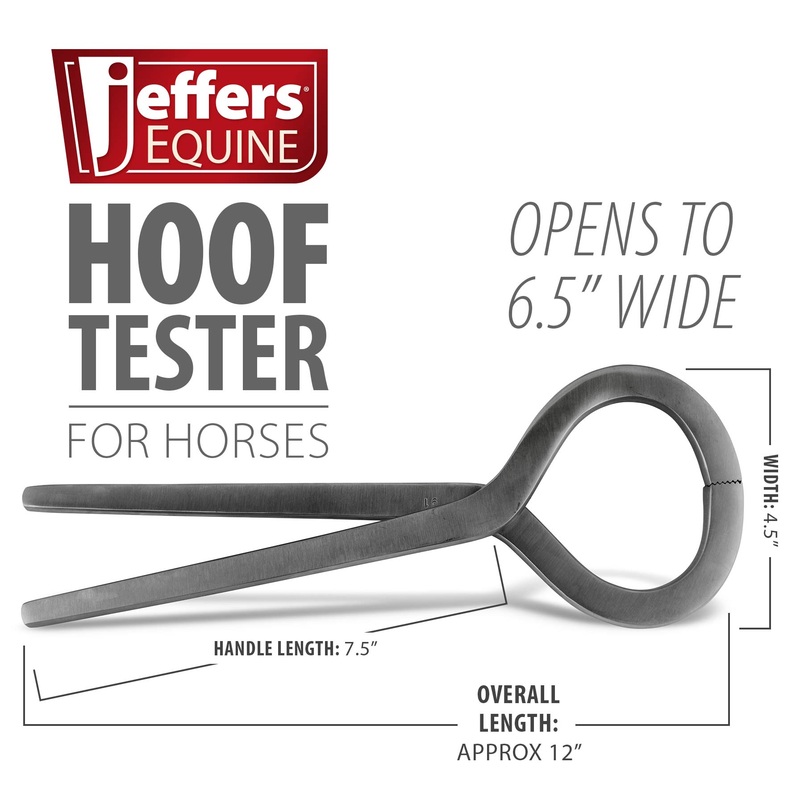 Horse Hoof Tester Farrier Tool