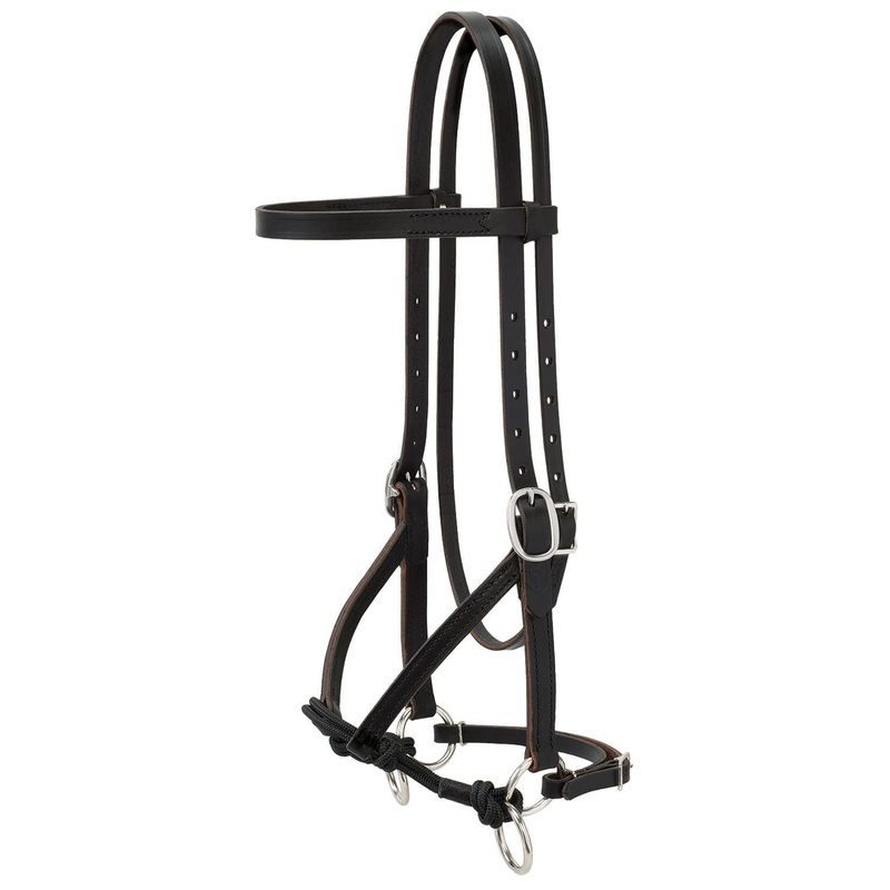 Justin Dunn Bitless Bridle