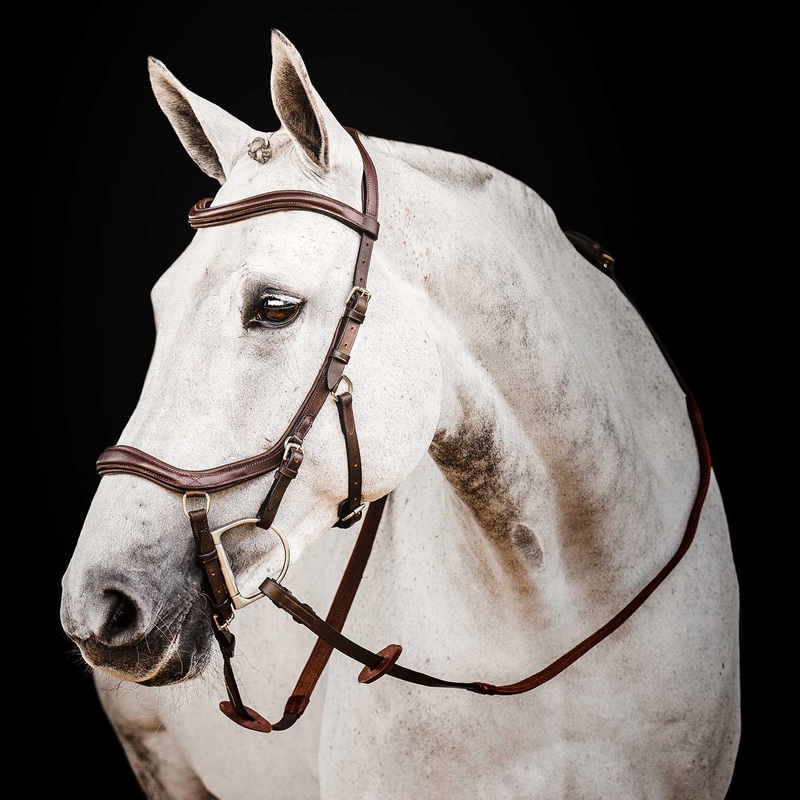 Micklem 2.0 Deluxe Competition Bridle for Horses – Padded Leather, Reins Included, Dressage & Show Bridle
