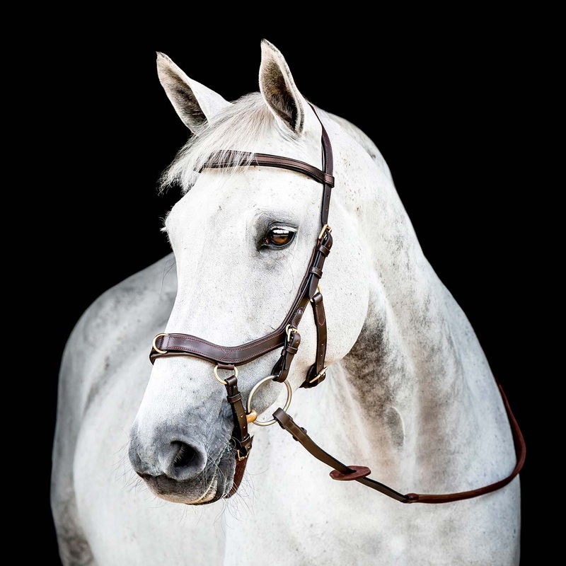 Micklem 2.0 Multi Bridle for Horses  Adjustable Bit Straps, Padded Leather, Pressure-Relief Design