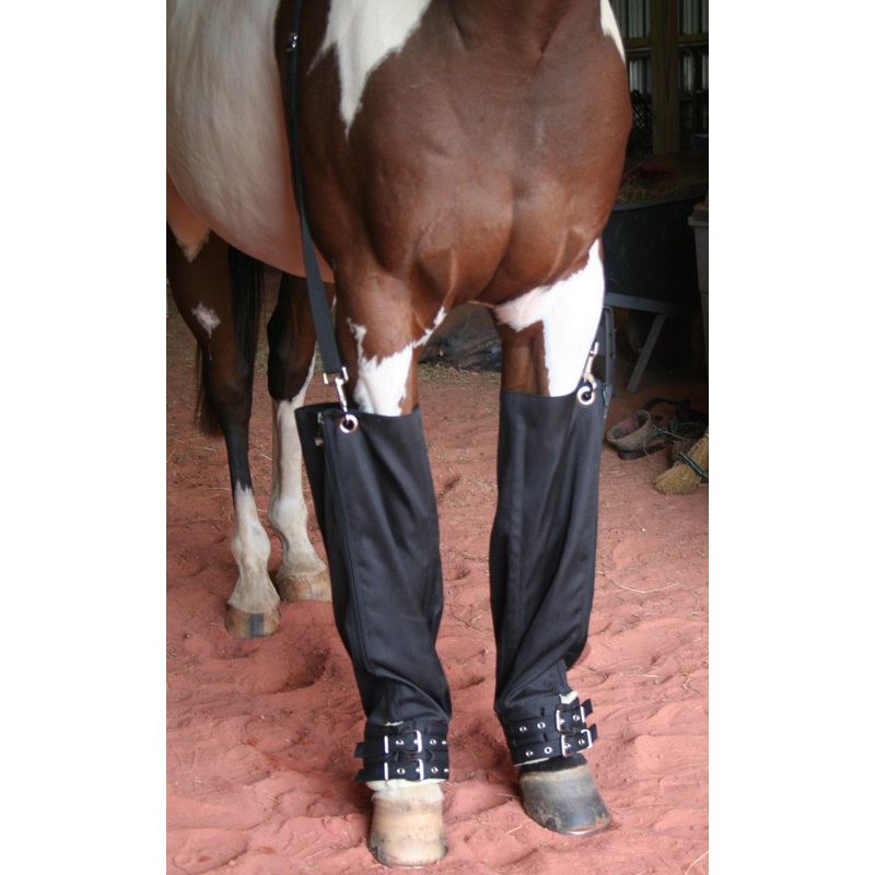 Roma Full Ice Boots for Horses, Pair