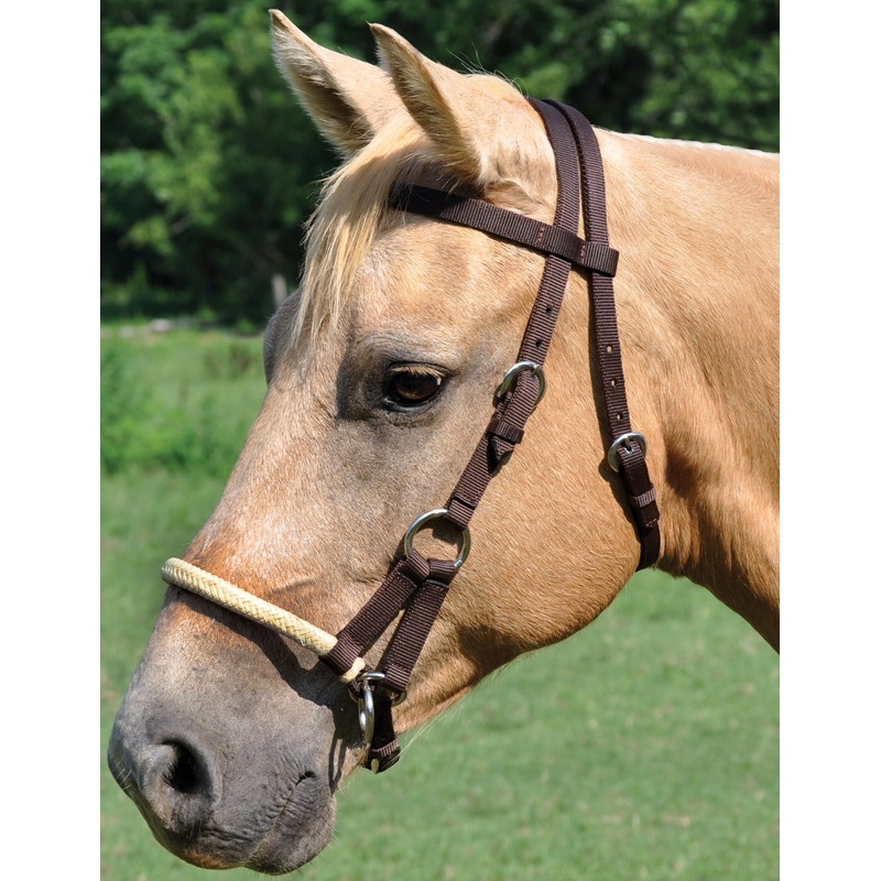 Sidepull Bridle, 3/4