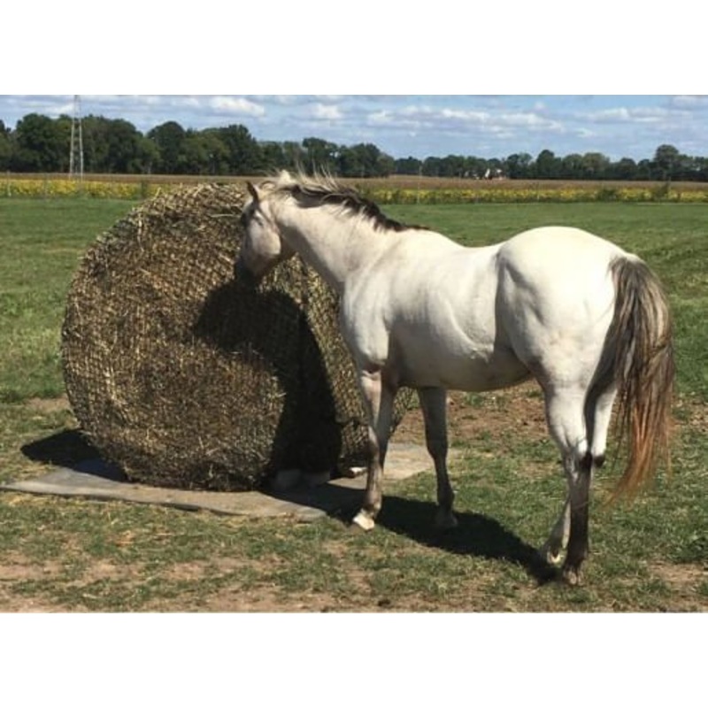 Tough 1 Round Bale Slow Feed 2×2 Hay Net for Horses